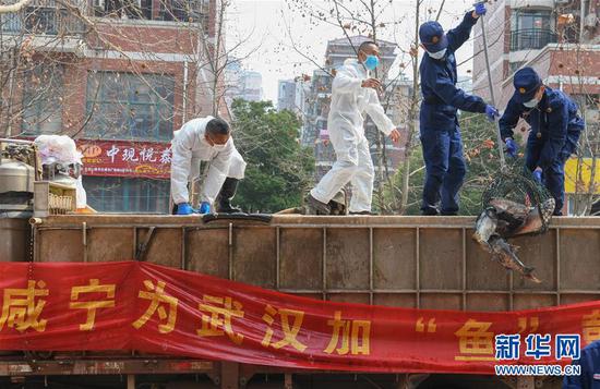 3月13日，一批運(yùn)到湖北省武漢市硚口區(qū)華生漢口城市廣場(chǎng)社區(qū)的活魚在卸貨。當(dāng)日，首批100噸調(diào)配自咸寧市的活魚運(yùn)抵武漢市硚口區(qū)11個(gè)街道下轄社區(qū)。 新華社記者 程敏 攝
